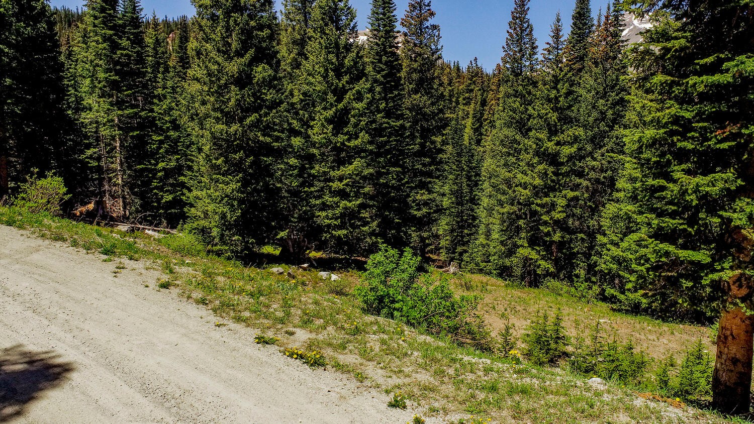 0307 Cr 674 Blue River CO 80424