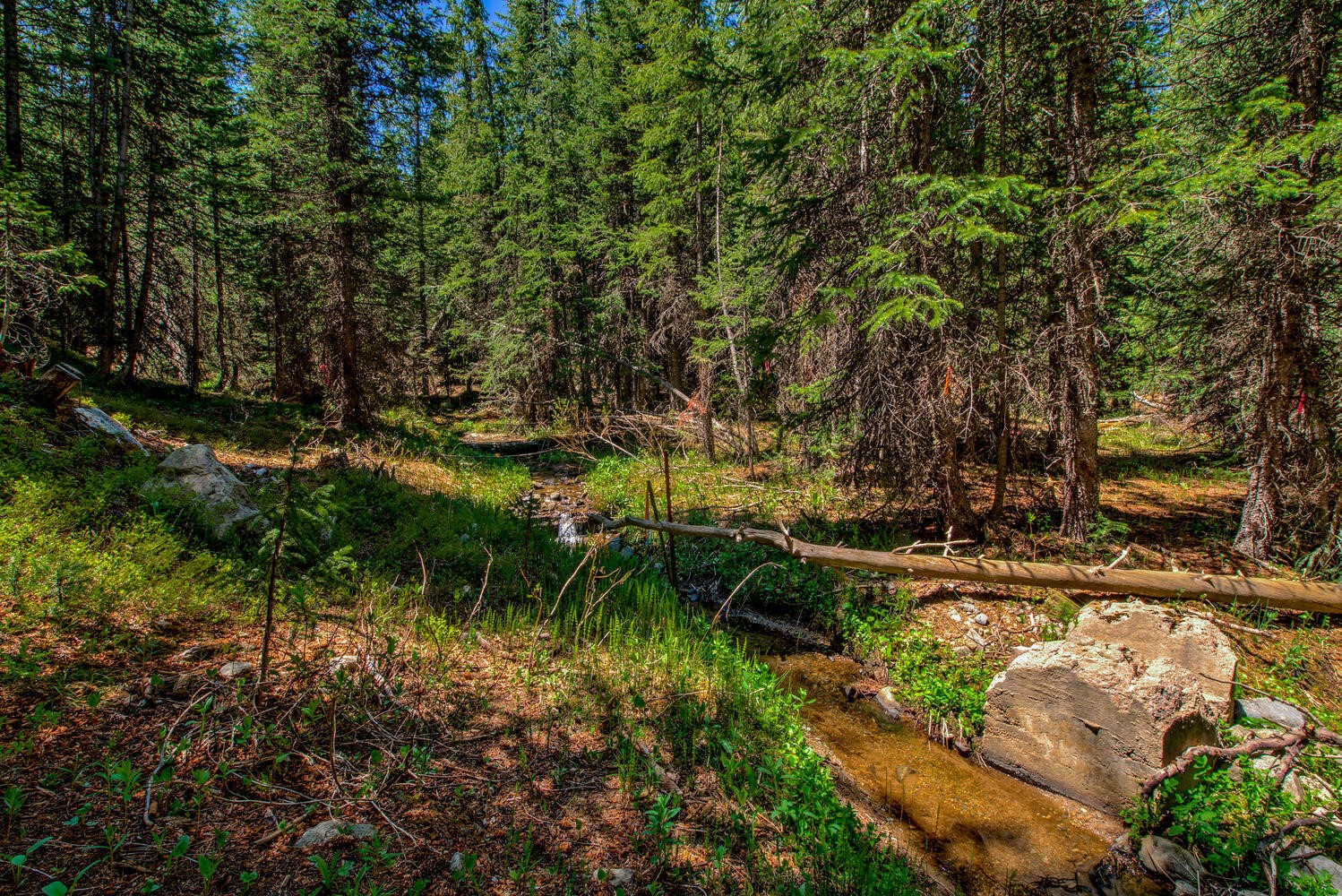 0307 Cr 674 Blue River CO 80424