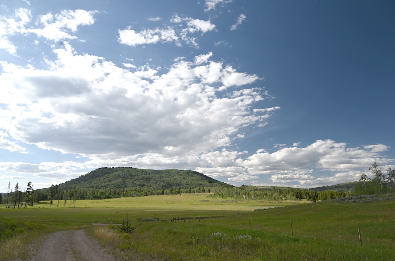 33170 Wenatchi Trail Oak Creek CO 80467