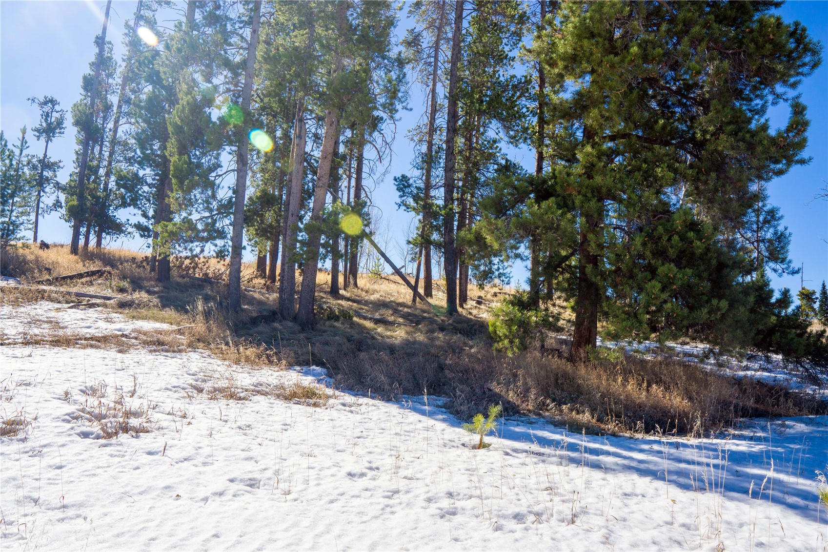 33170 Wenatchi Trail Oak Creek CO 80467