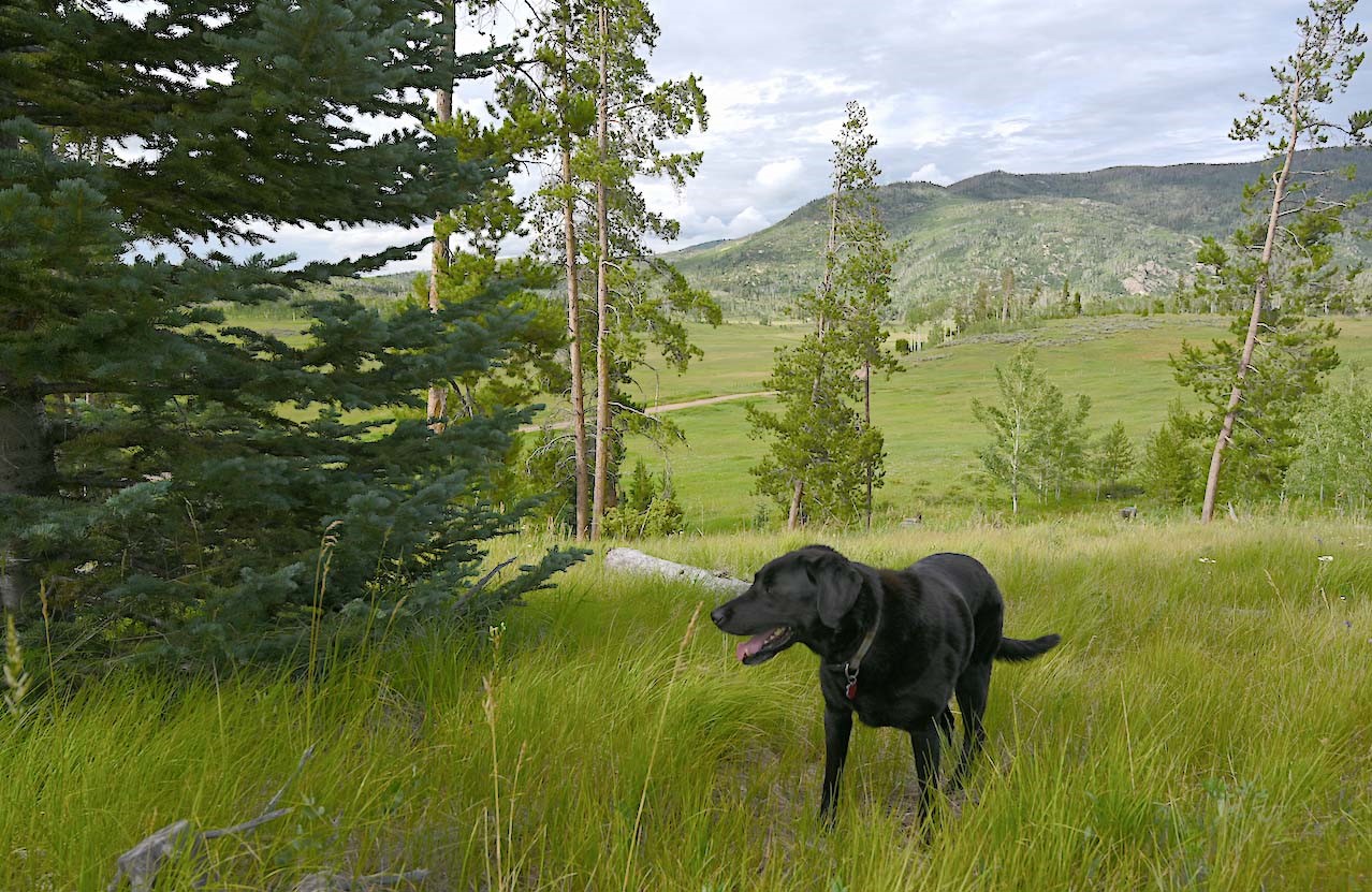33170 Wenatchi Trail Oak Creek CO 80467