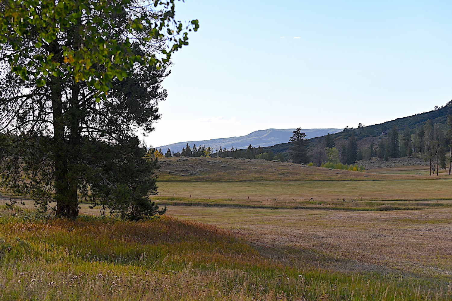 33170 Wenatchi Trail Oak Creek CO 80467