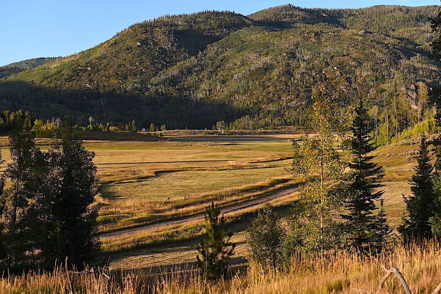 33170 Wenatchi Trail Oak Creek CO 80467