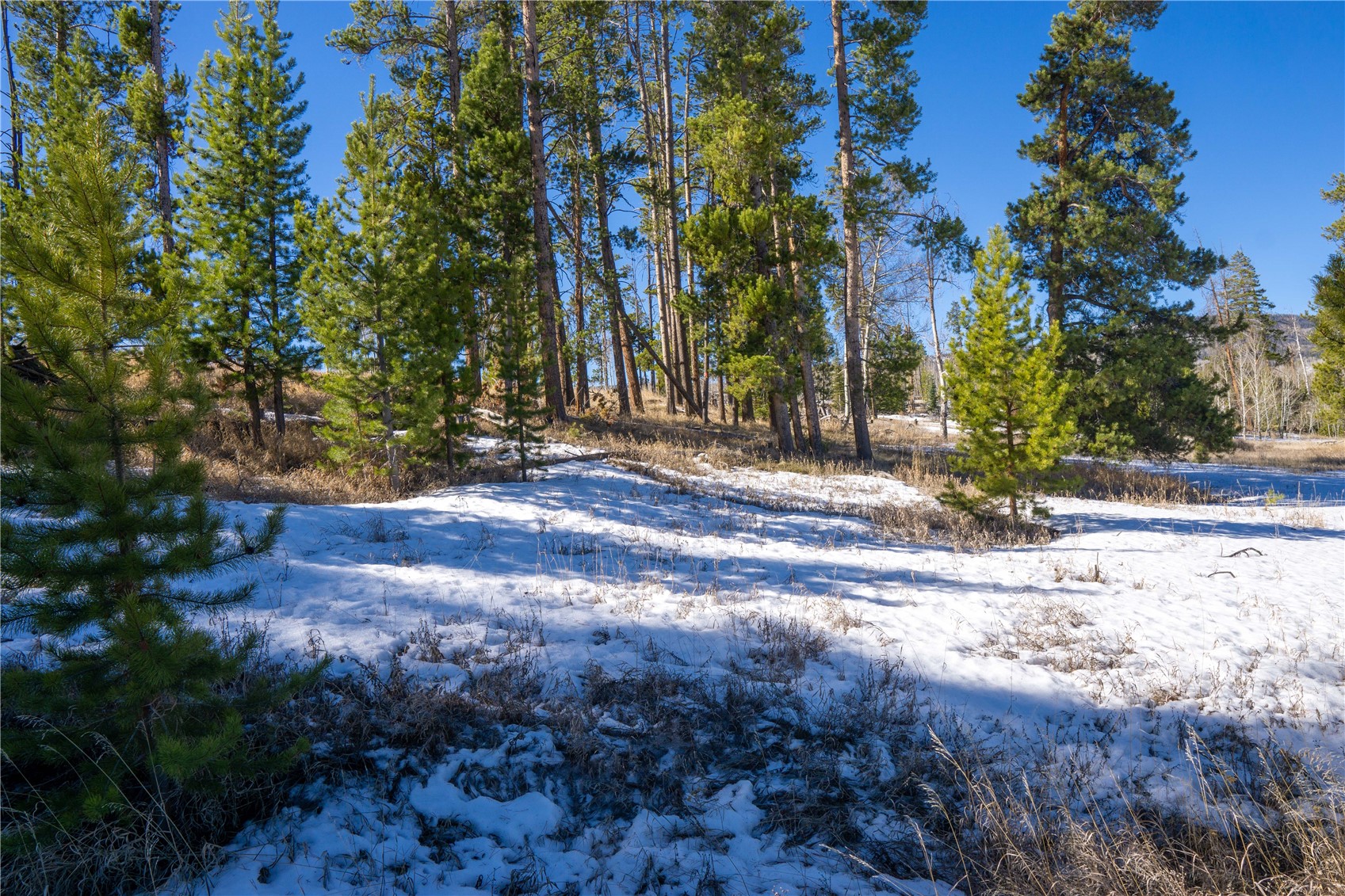 33170 Wenatchi Trail Oak Creek CO 80467