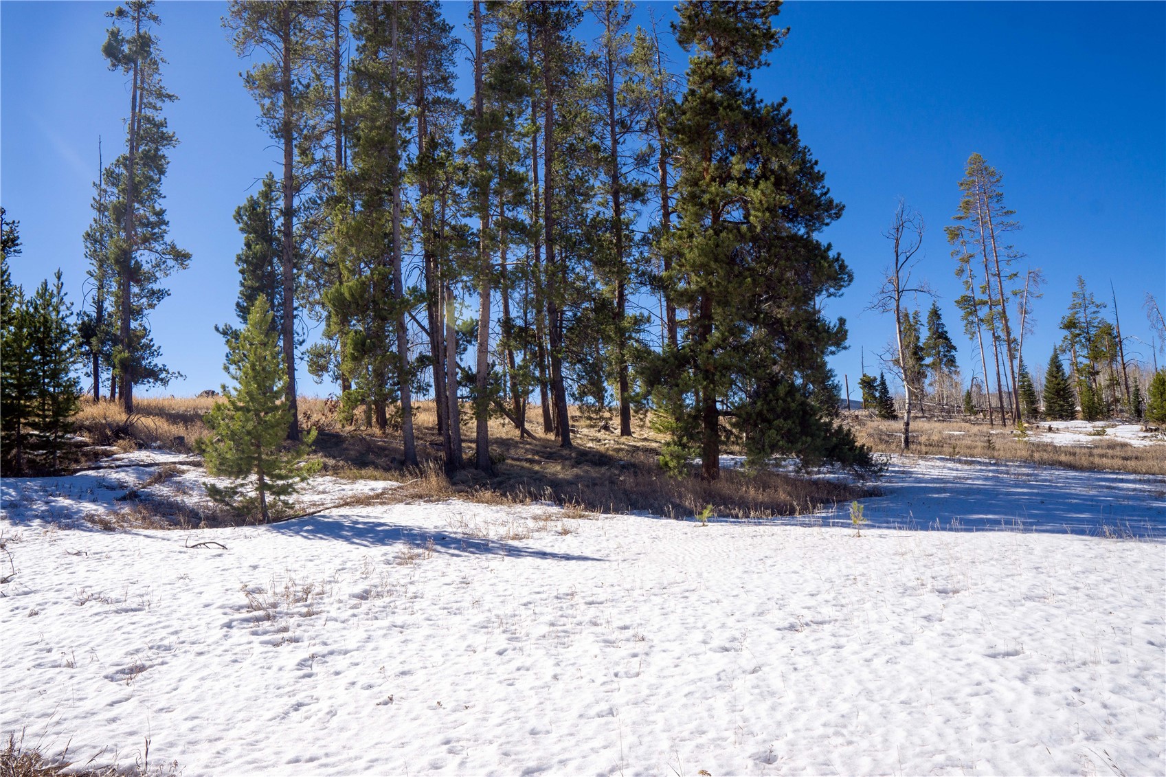 33170 Wenatchi Trail Oak Creek CO 80467