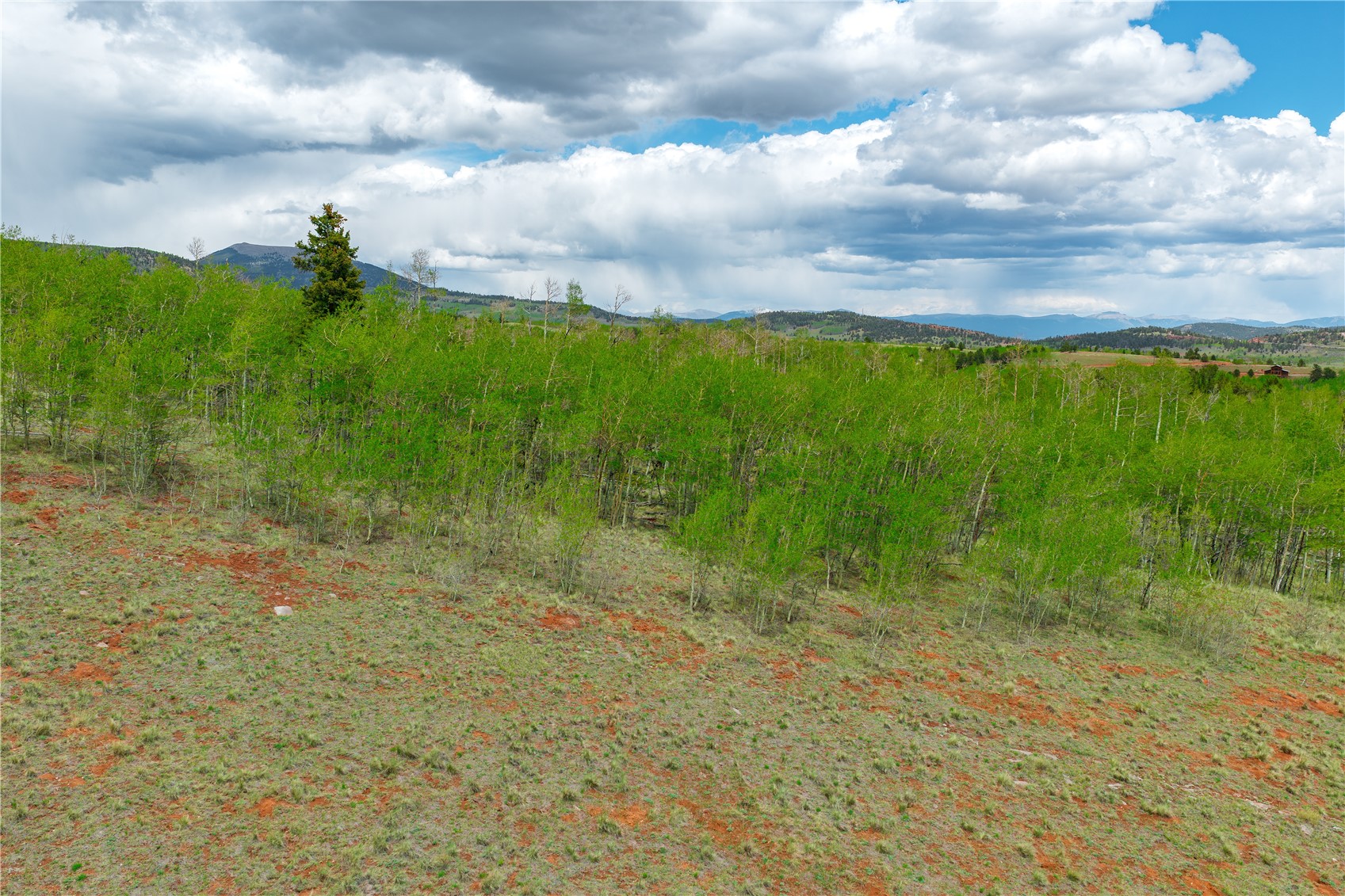 562 Palmer Peak Drive Fairplay CO 80440