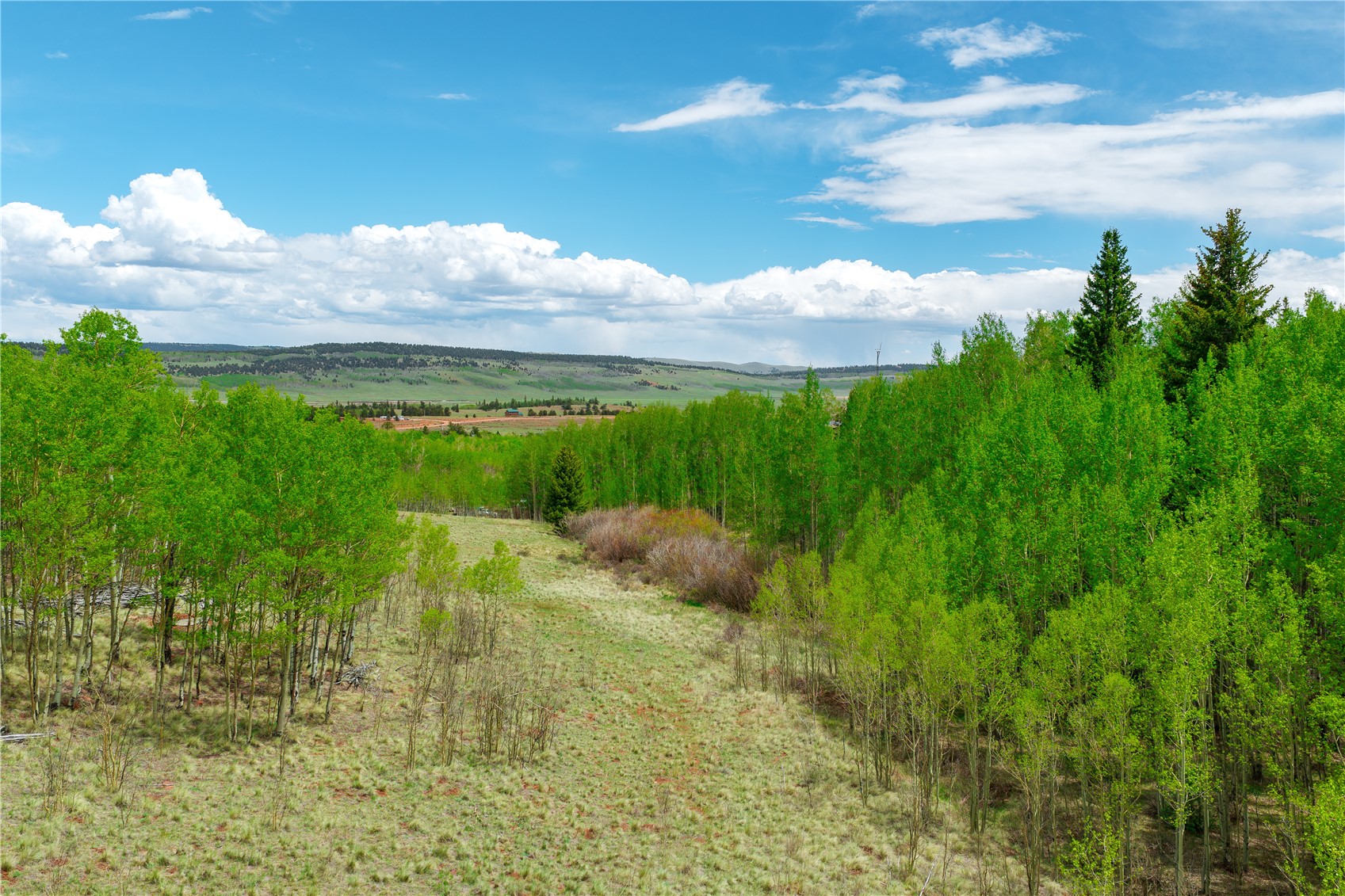 562 Palmer Peak Drive Fairplay CO 80440