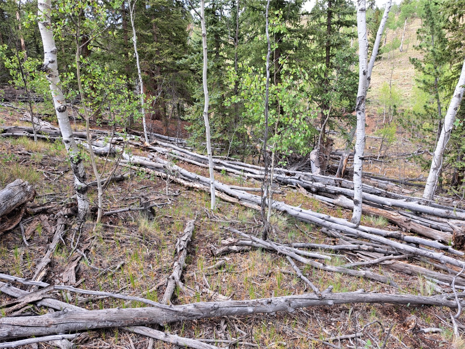 6206 Remington Road Como CO 80432