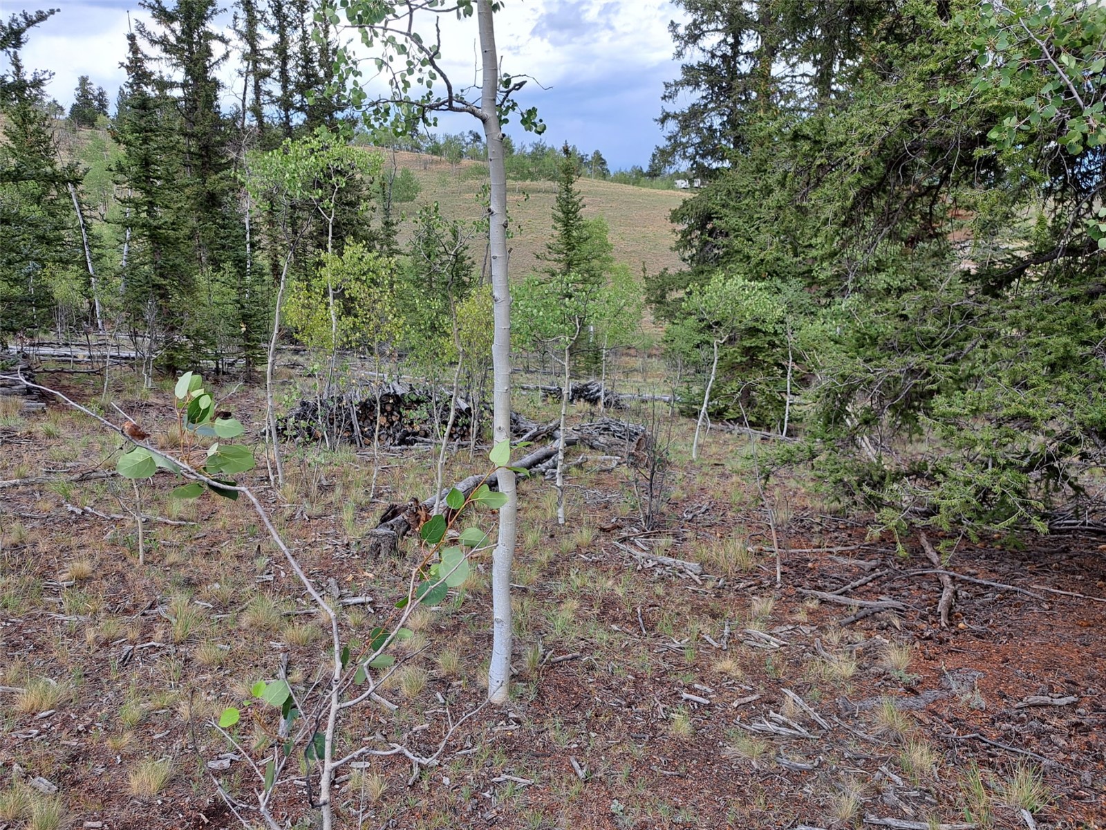 6206 Remington Road Como CO 80432
