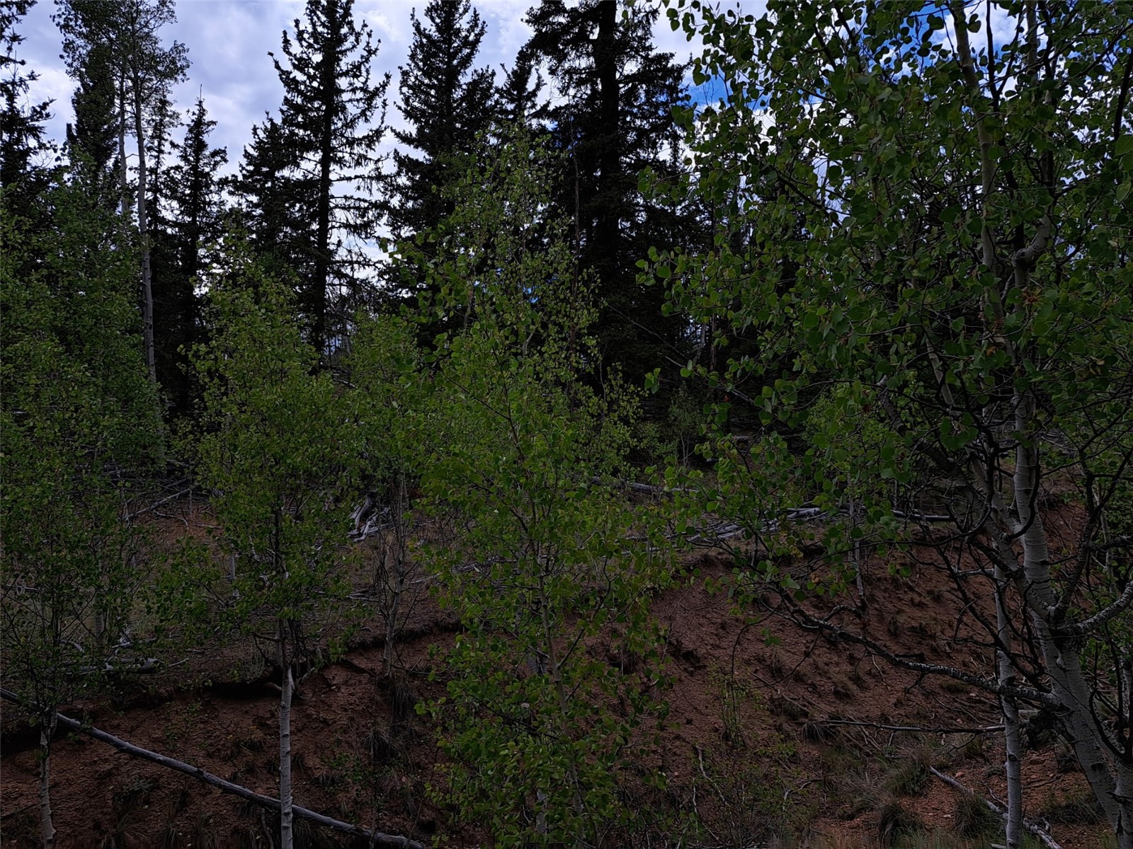 6206 Remington Road Como CO 80432