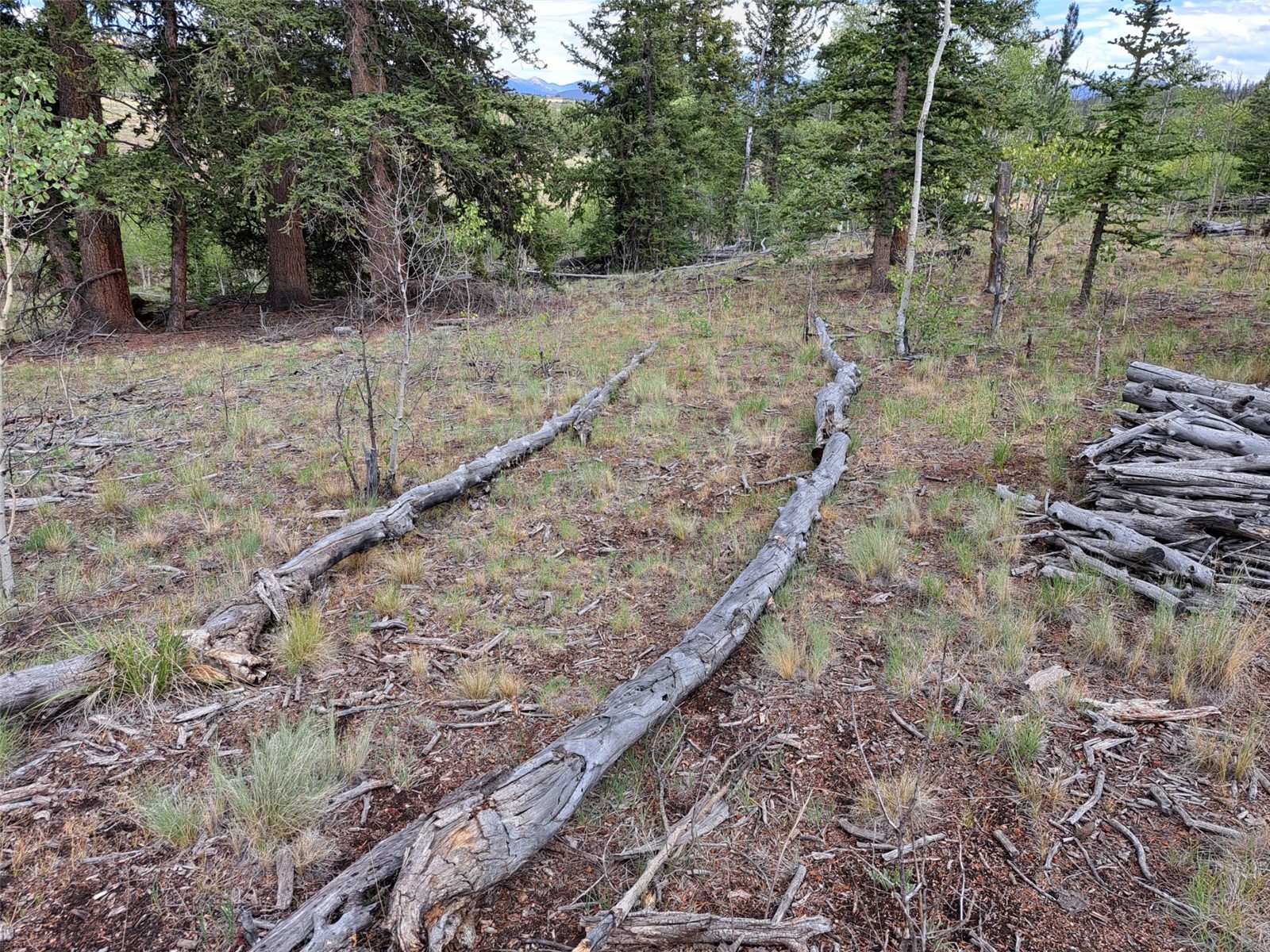 6206 Remington Road Como CO 80432