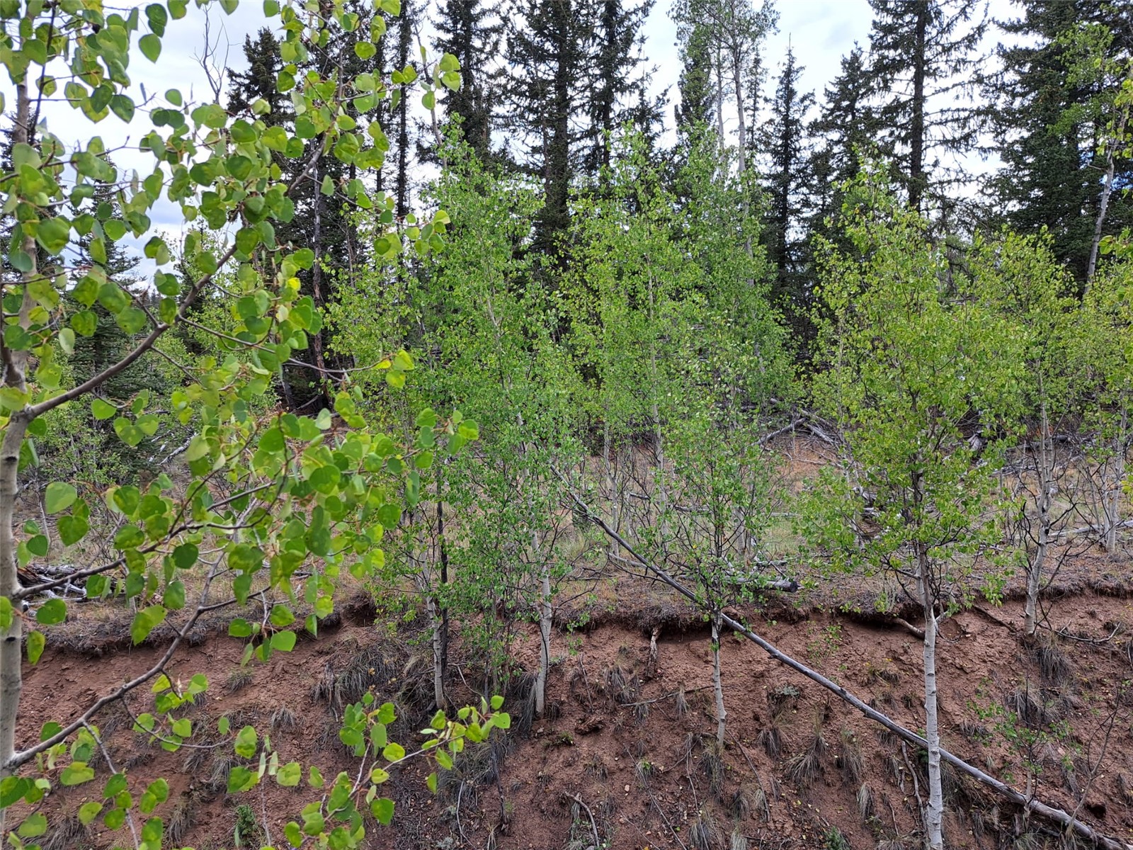 6206 Remington Road Como CO 80432