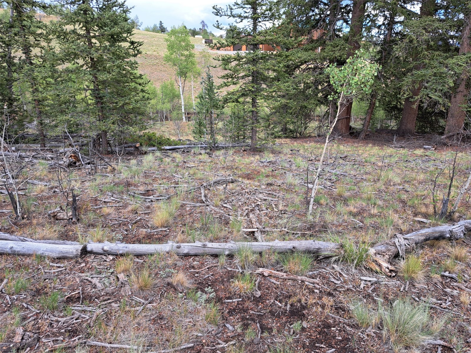 6206 Remington Road Como CO 80432