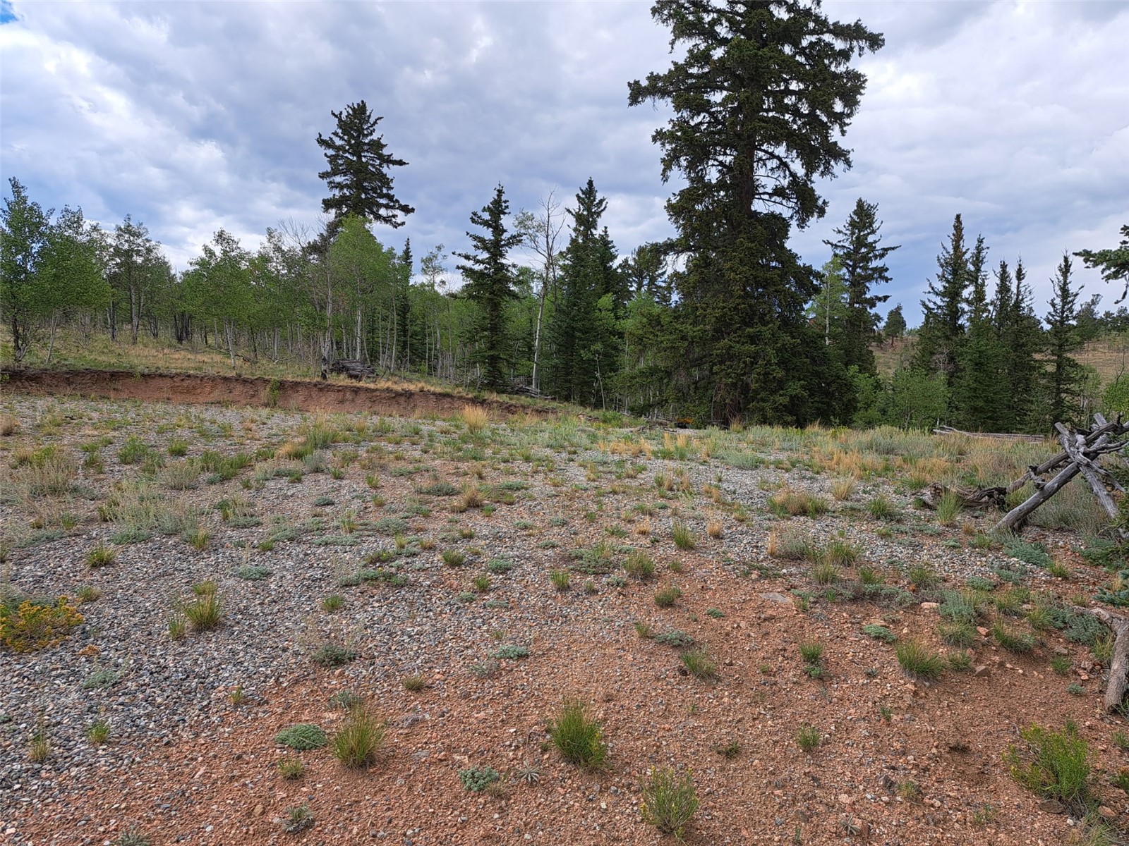 6206 Remington Road Como CO 80432