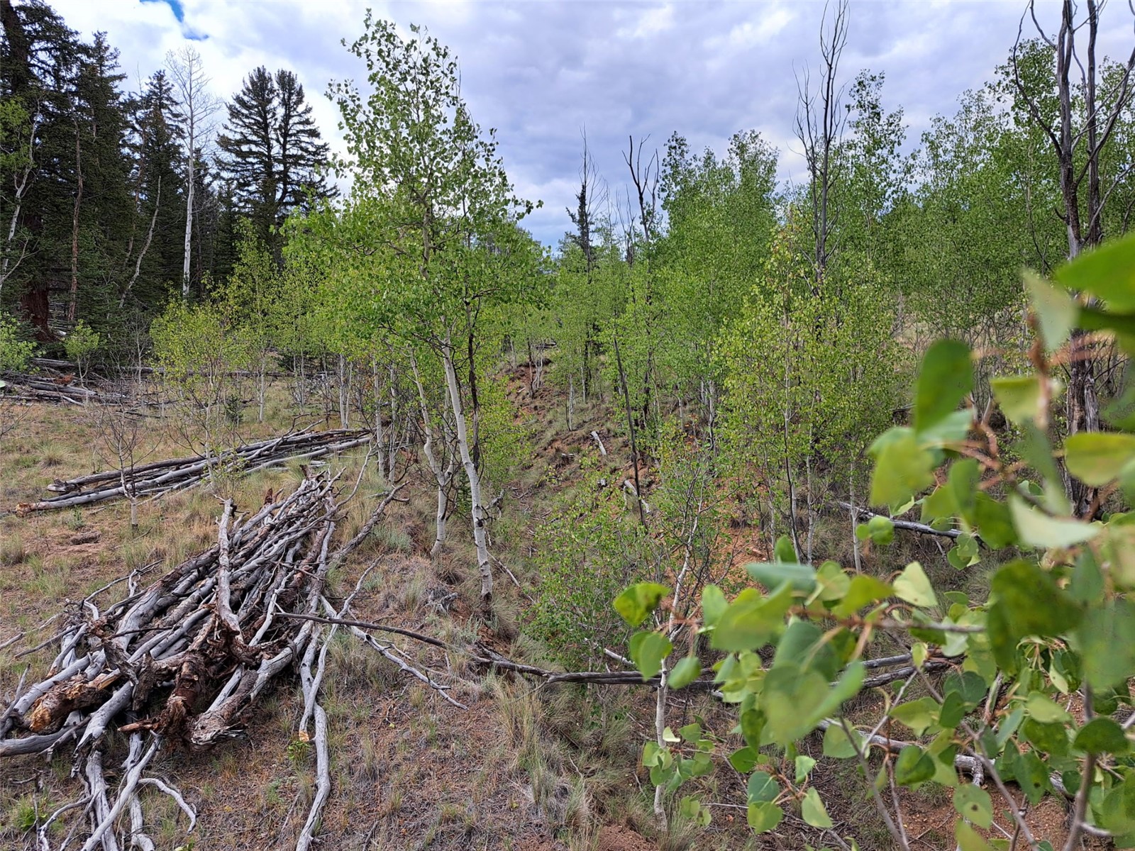 6206 Remington Road Como CO 80432