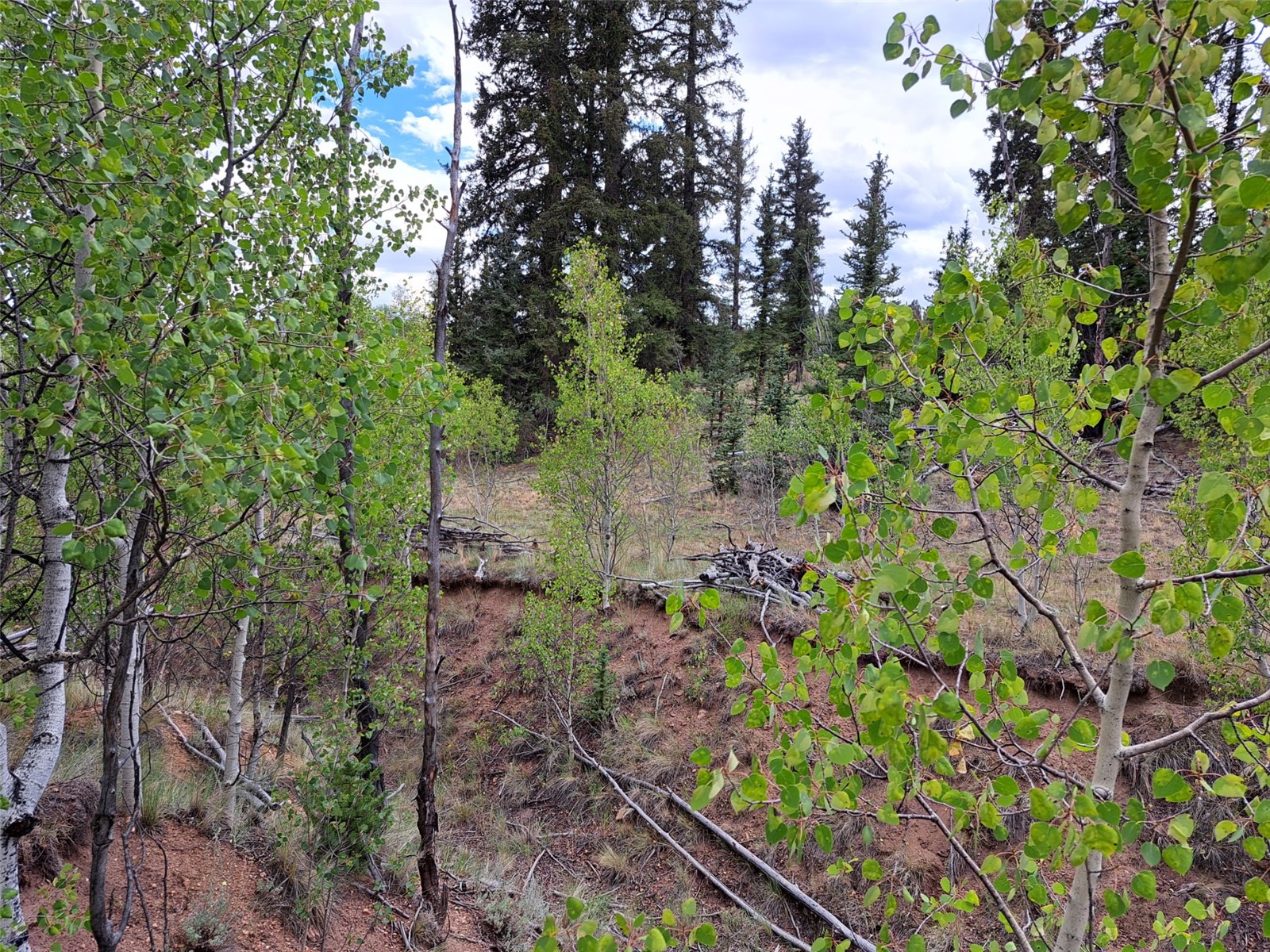 6206 Remington Road Como CO 80432