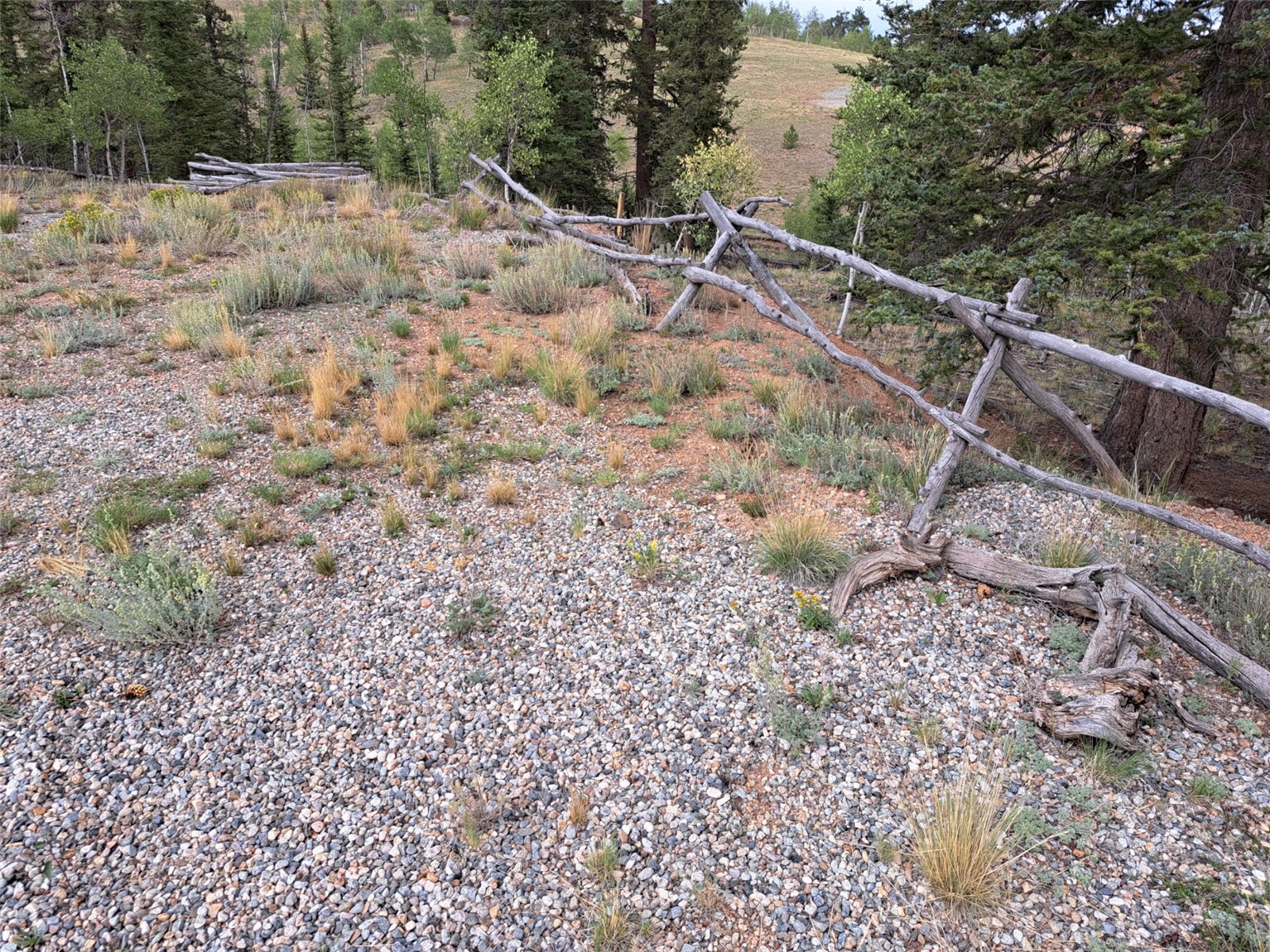 6206 Remington Road Como CO 80432