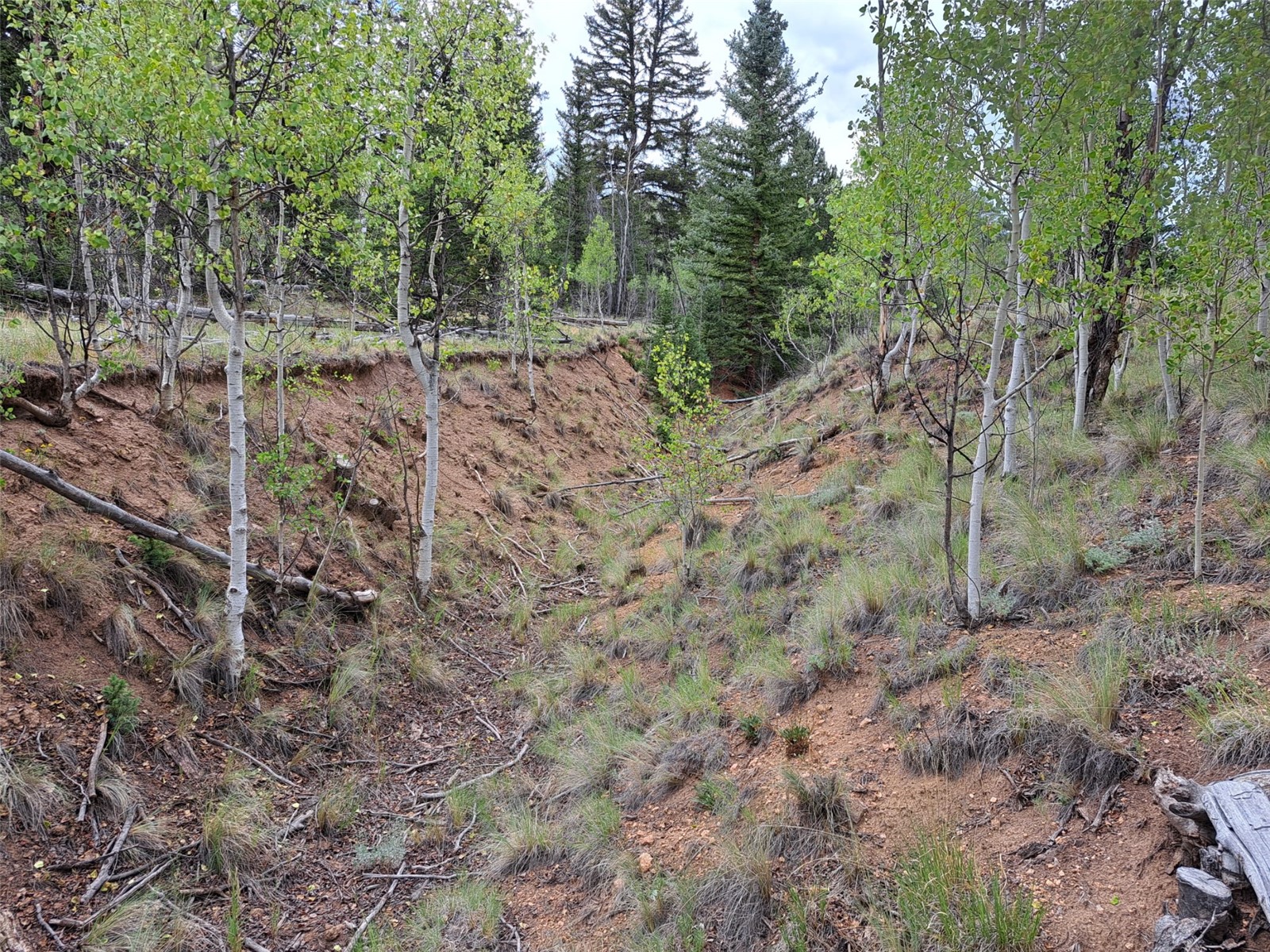 6206 Remington Road Como CO 80432