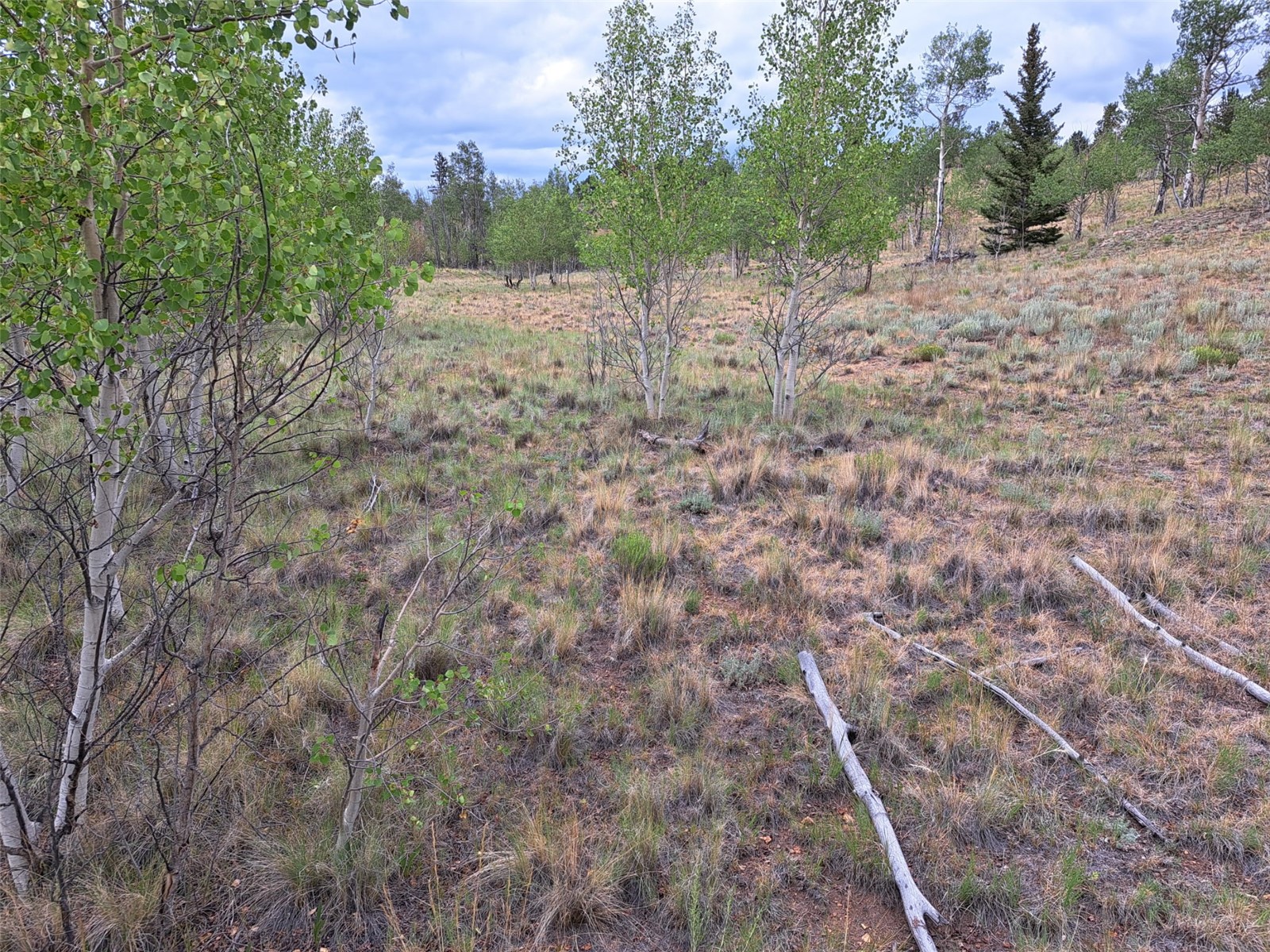 6206 Remington Road Como CO 80432
