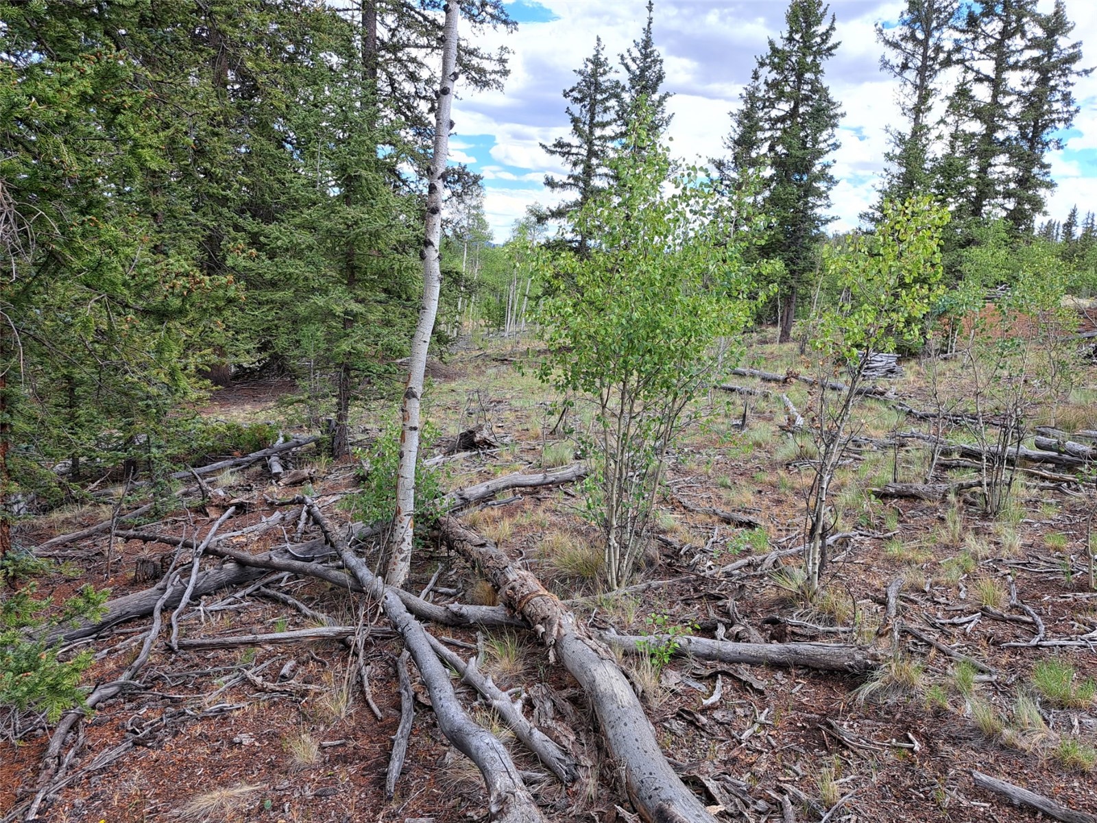 6206 Remington Road Como CO 80432