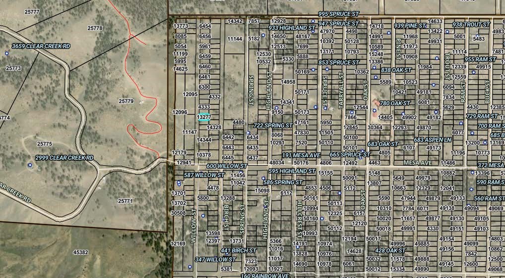 0000 Willow Street Hartsel CO 80449