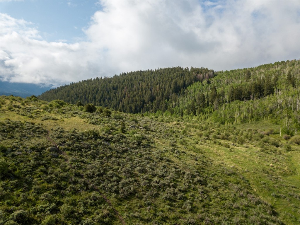 8034 State Highway 131 Toponas CO 80479