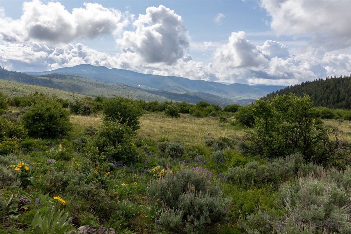 8034 State Highway 131 Toponas CO 80479