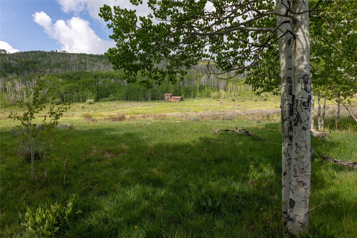 8034 State Highway 131 Toponas CO 80479