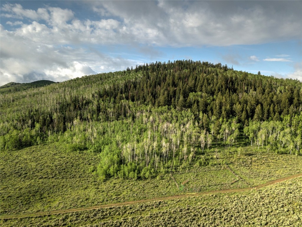 8034 State Highway 131 Toponas CO 80479