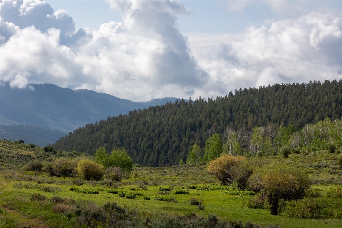 8034 State Highway 131 Toponas CO 80479
