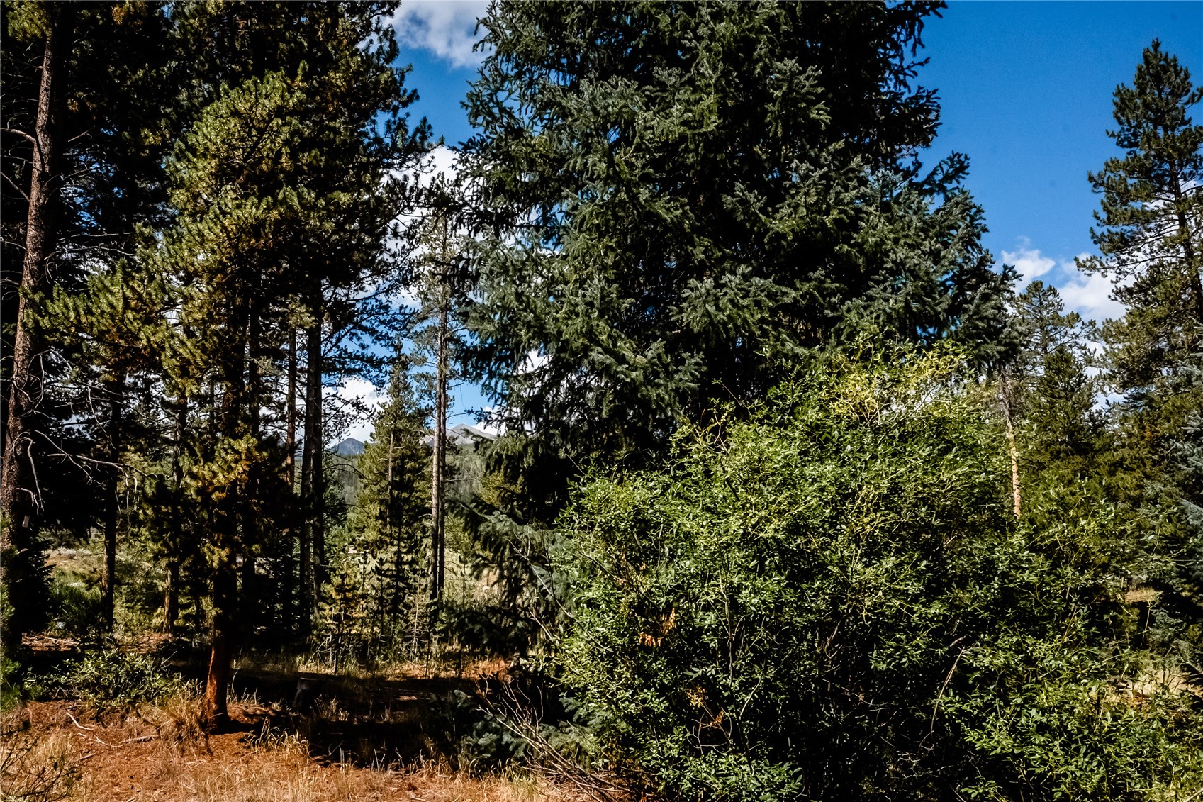 108 Ginger Quill Lane Breckenridge CO 80424