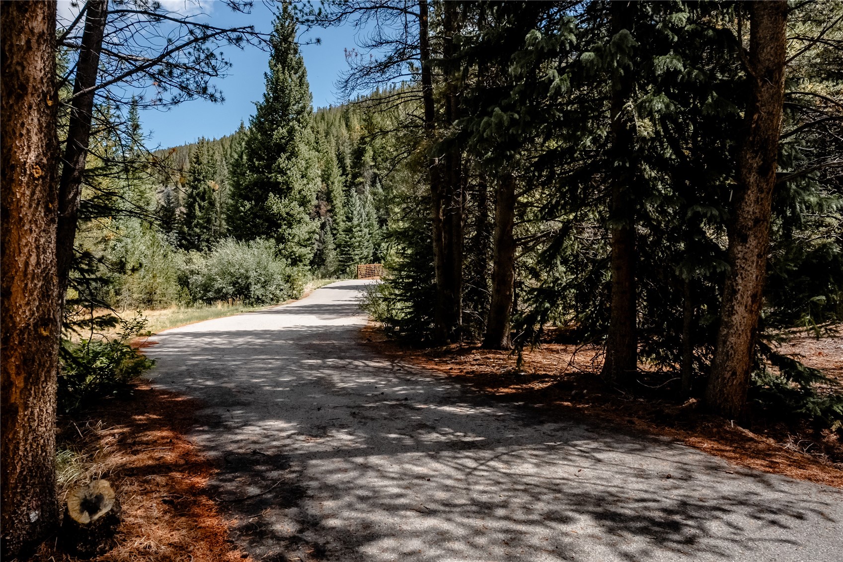 108 Ginger Quill Lane Breckenridge CO 80424