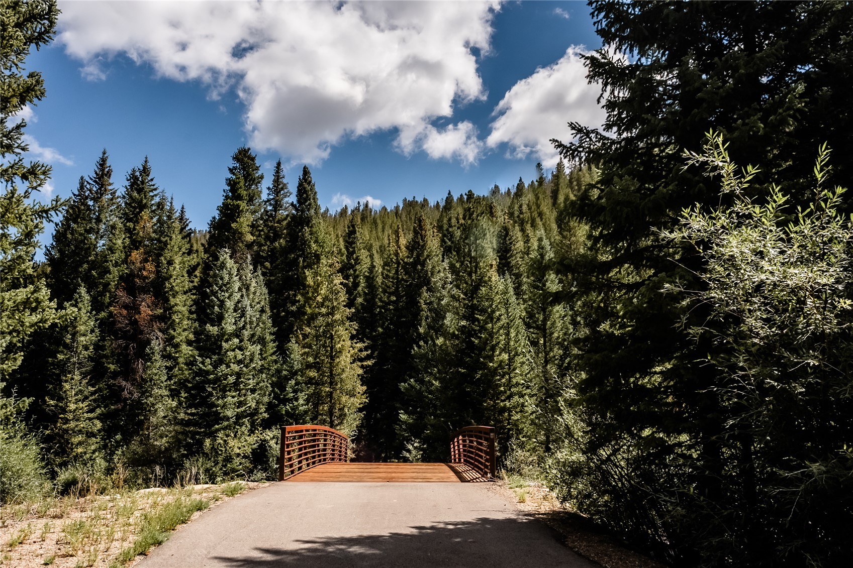 108 Ginger Quill Lane Breckenridge CO 80424