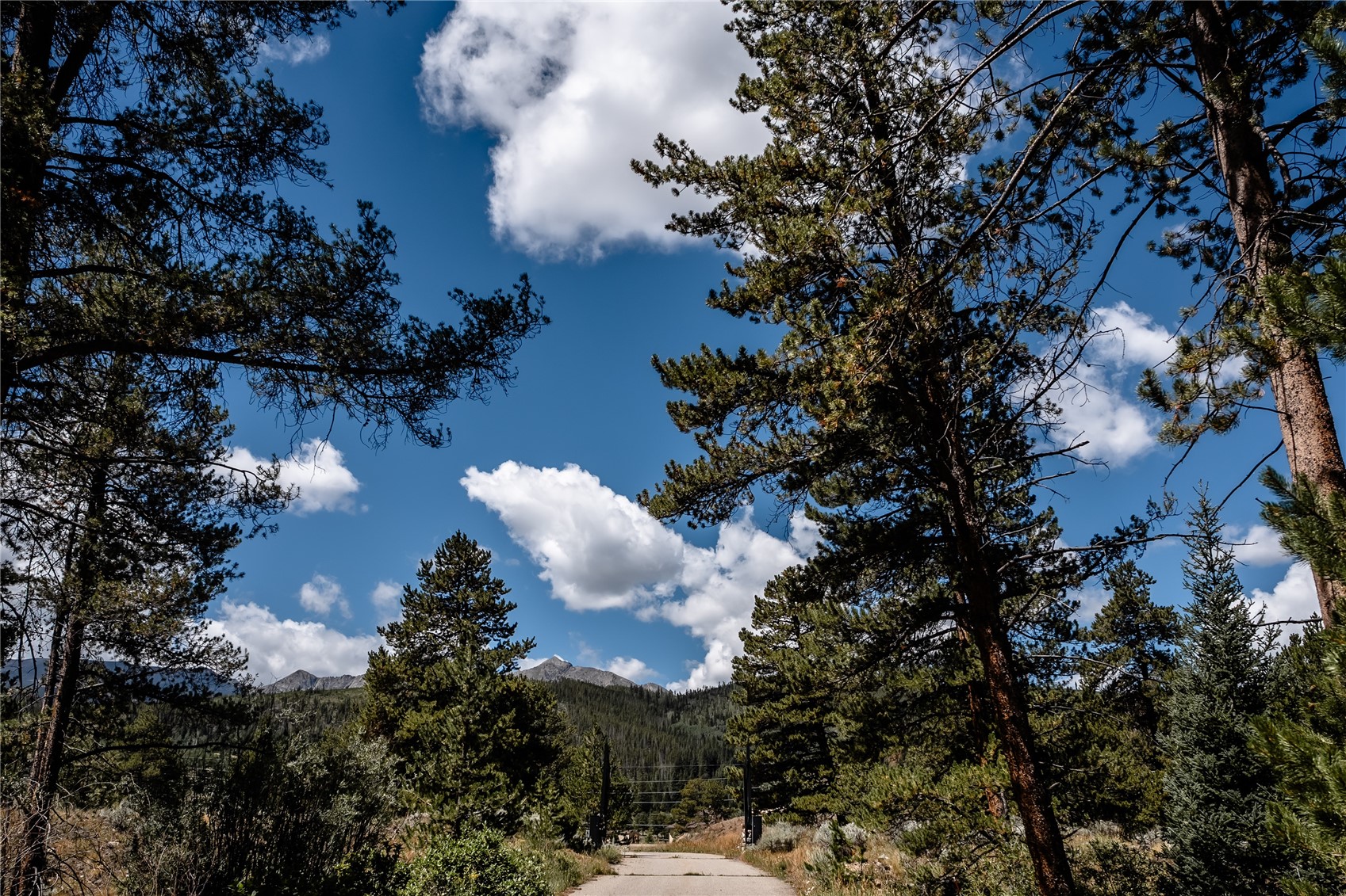 108 Ginger Quill Lane Breckenridge CO 80424