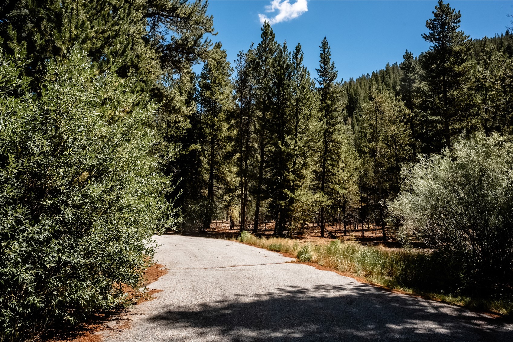 108 Ginger Quill Lane Breckenridge CO 80424