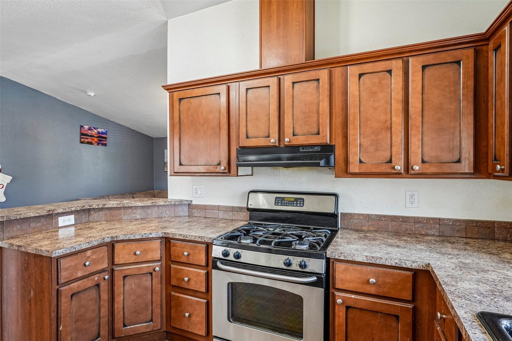 65 Blanca Peak Circle Dillon CO 80435