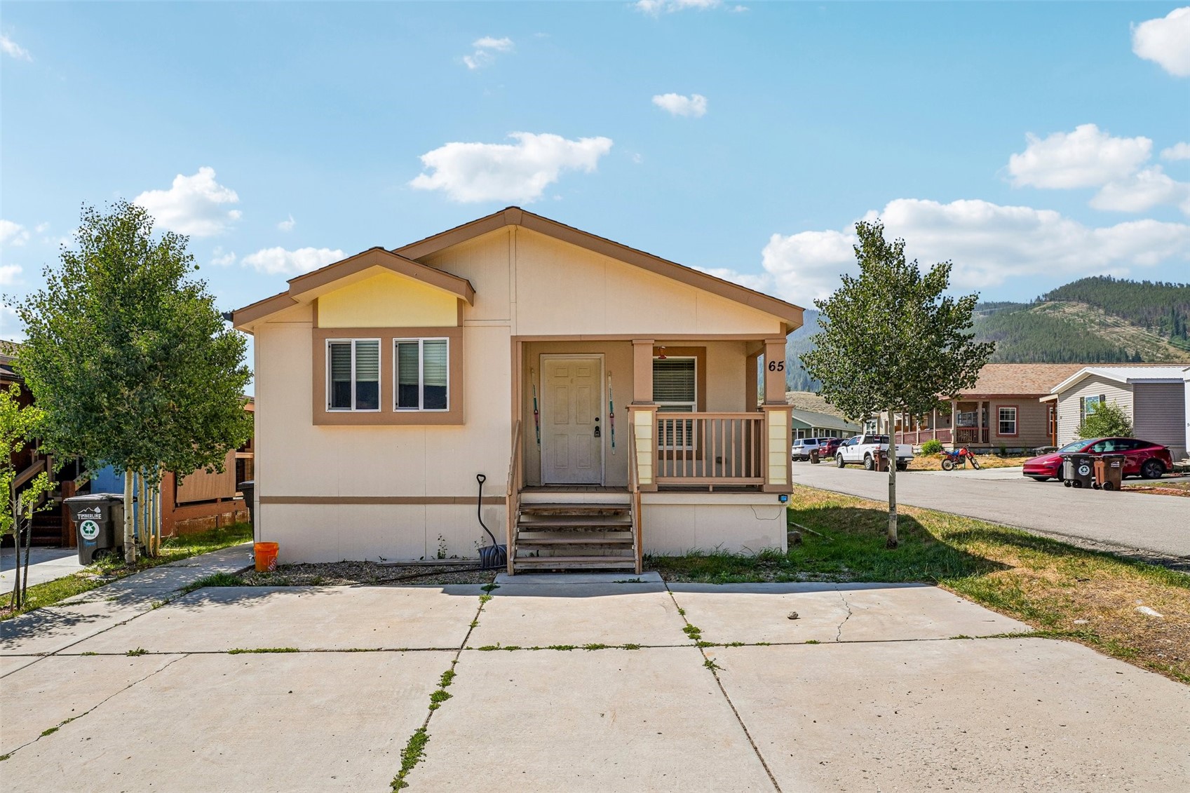 65 Blanca Peak Circle Dillon CO 80435