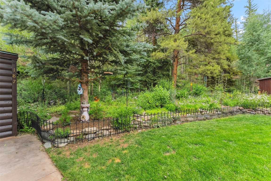 85 Revett Drive Breckenridge CO 80424