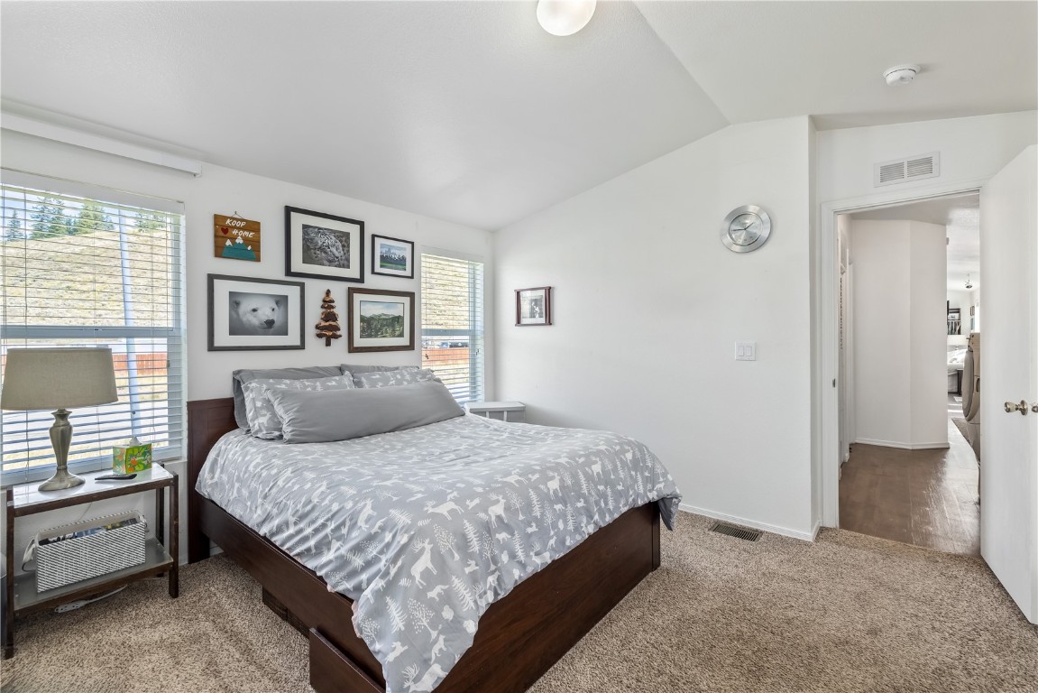 120 Pike Peak Place Dillon CO 80498