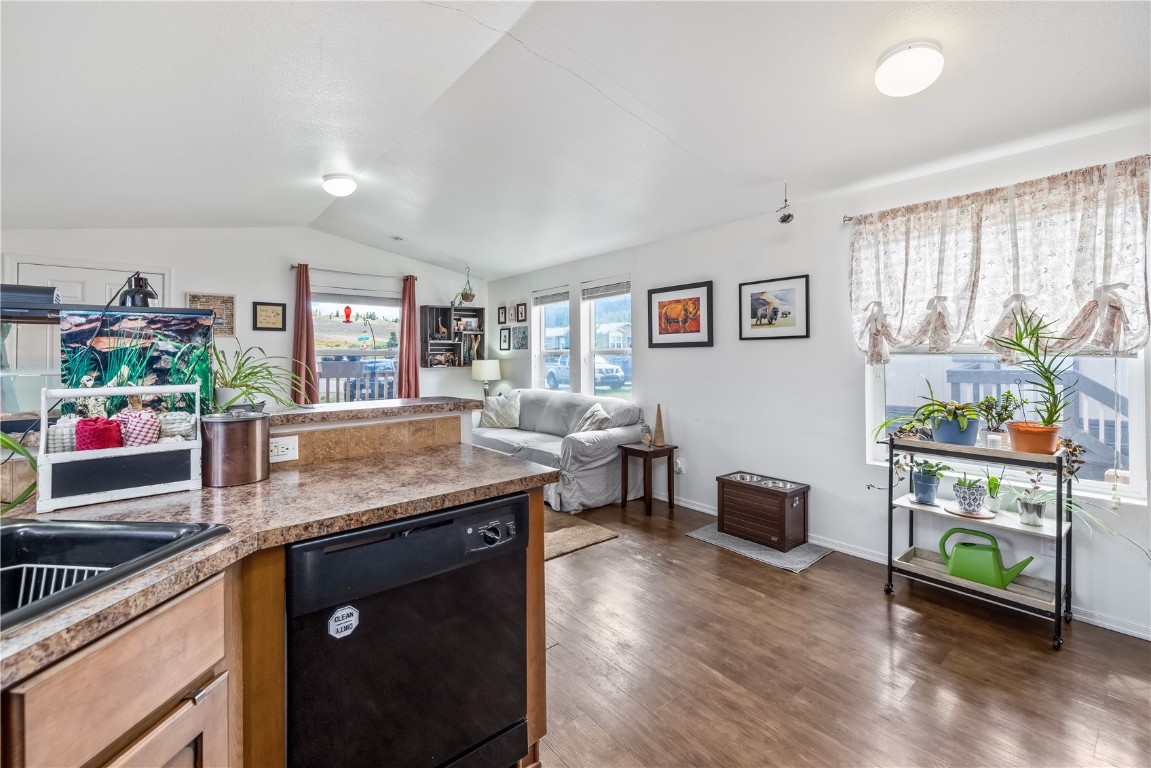 120 Pike Peak Place Dillon CO 80498