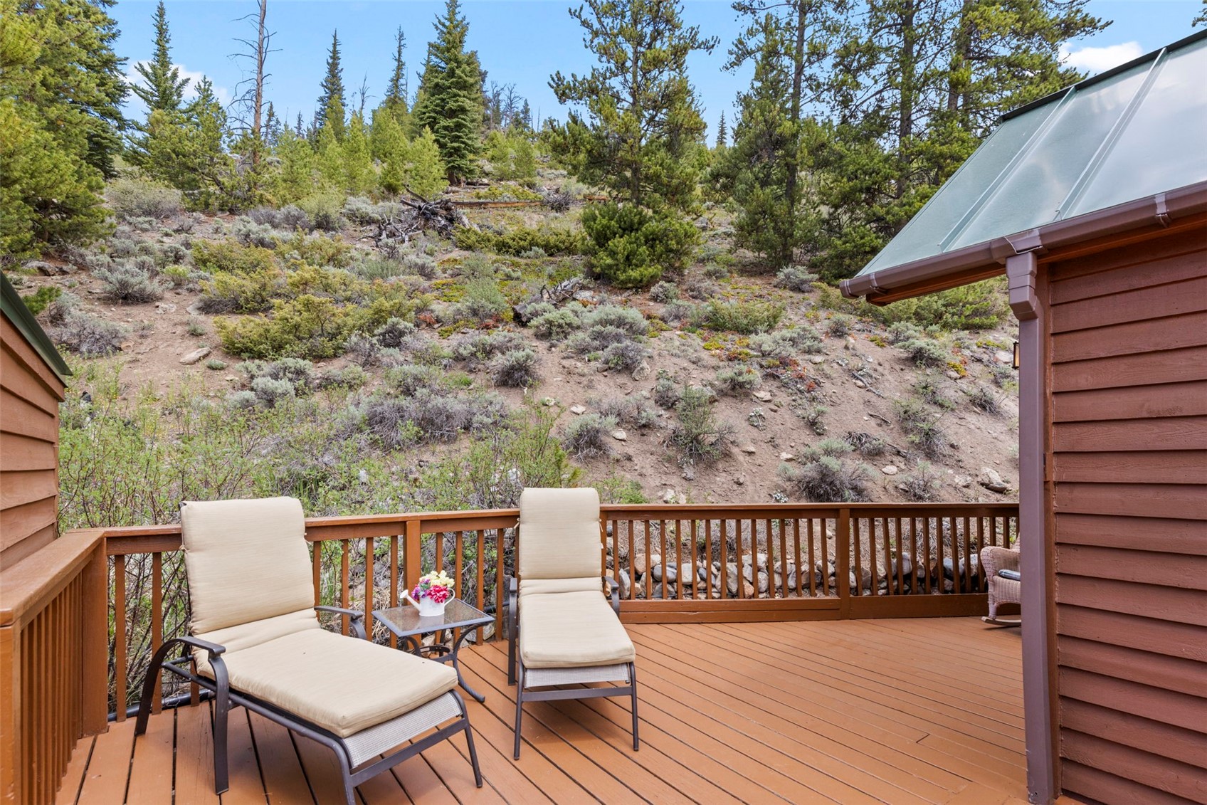 85 Revett Drive Breckenridge CO 80424