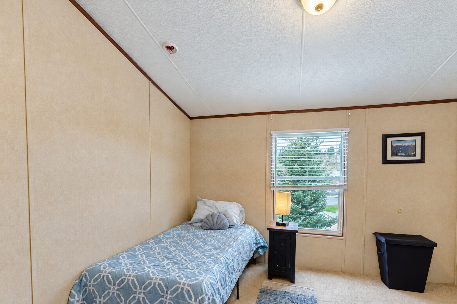 133 Pikes Peak Place Dillon CO 80435