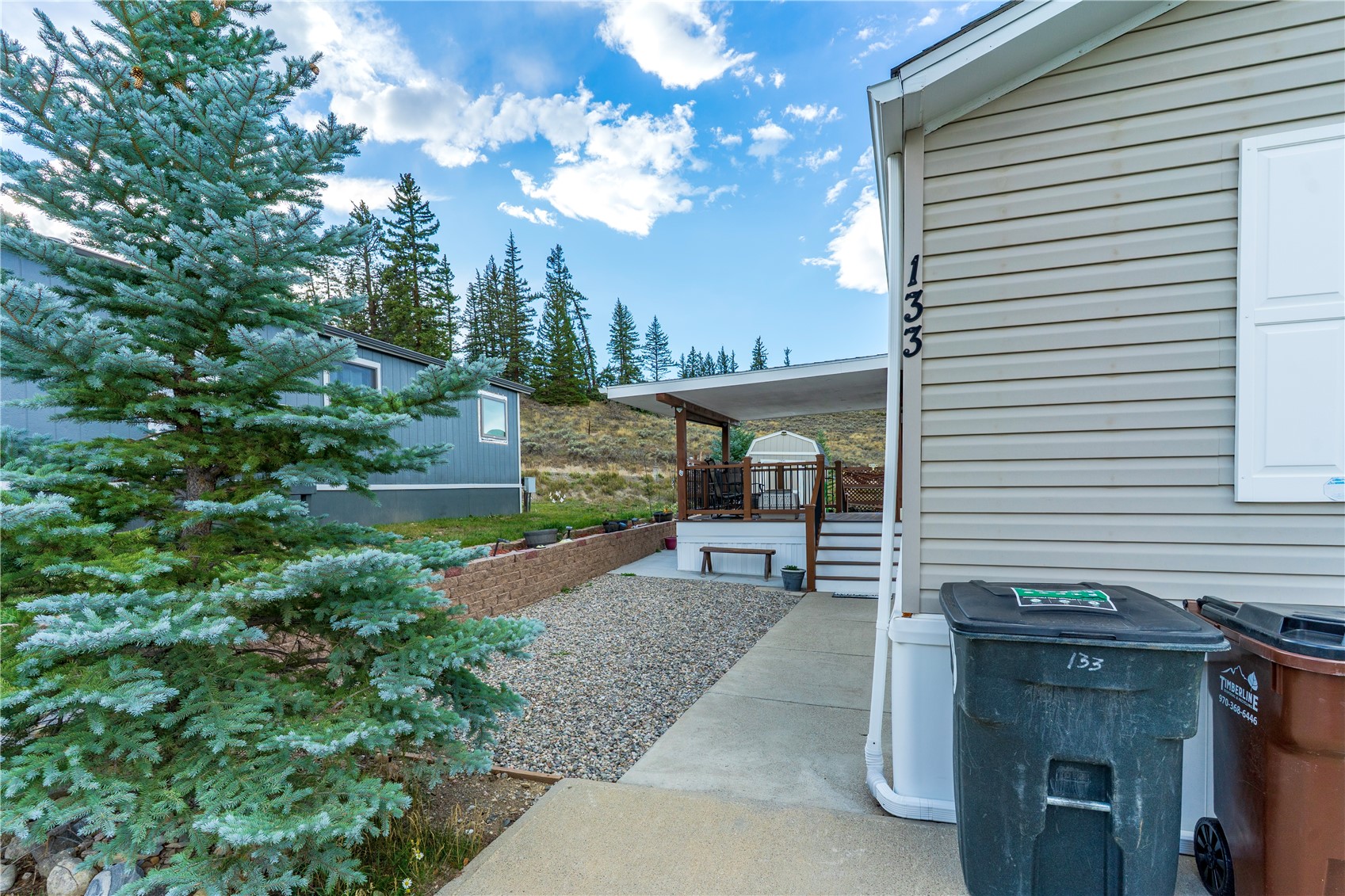 133 Pikes Peak Place Dillon CO 80435
