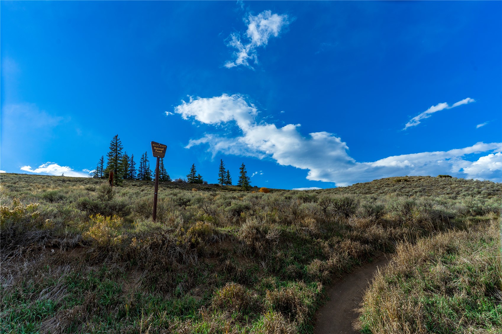 133 Pikes Peak Place Dillon CO 80435
