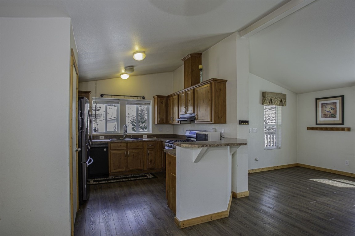 40 Maroon Peak Circle Dillon CO 80435