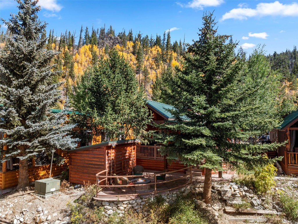 85 Revett Drive Breckenridge CO 80424