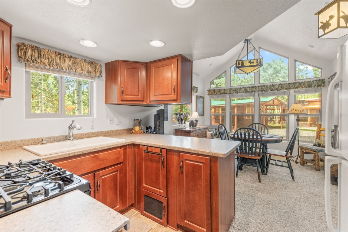 85 Revett Drive Breckenridge CO 80424