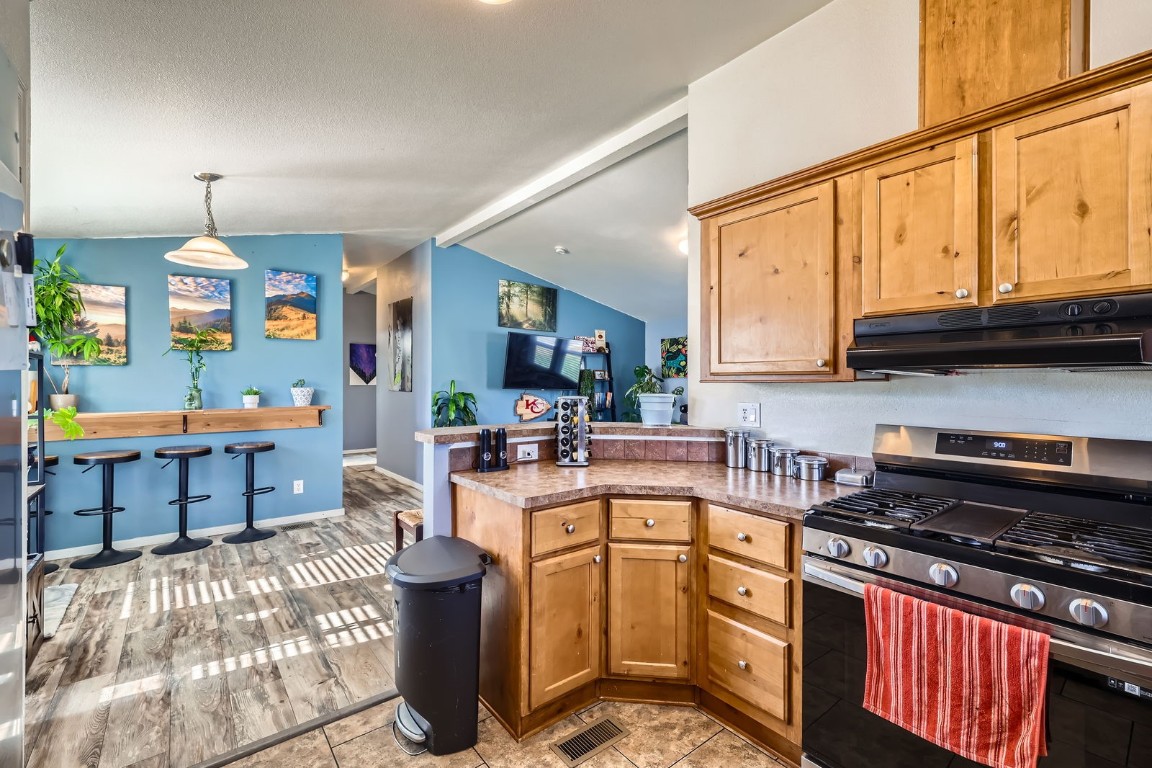105 Red Cloud Peak Road Dillon CO 80435
