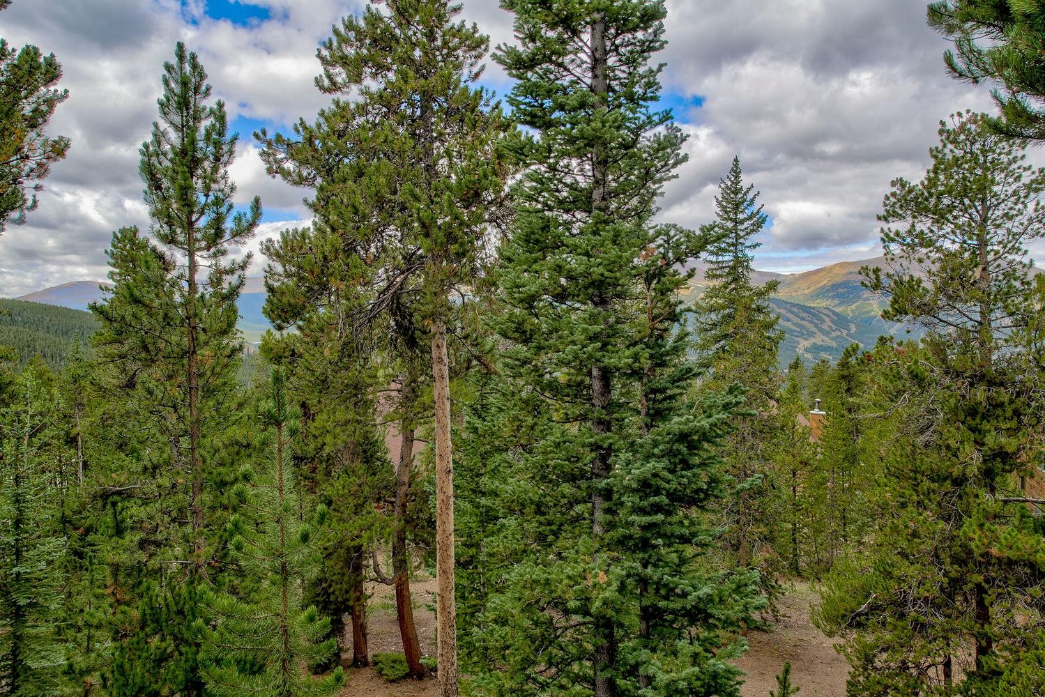 151 Emmett Lode Road Breckenridge CO 80424