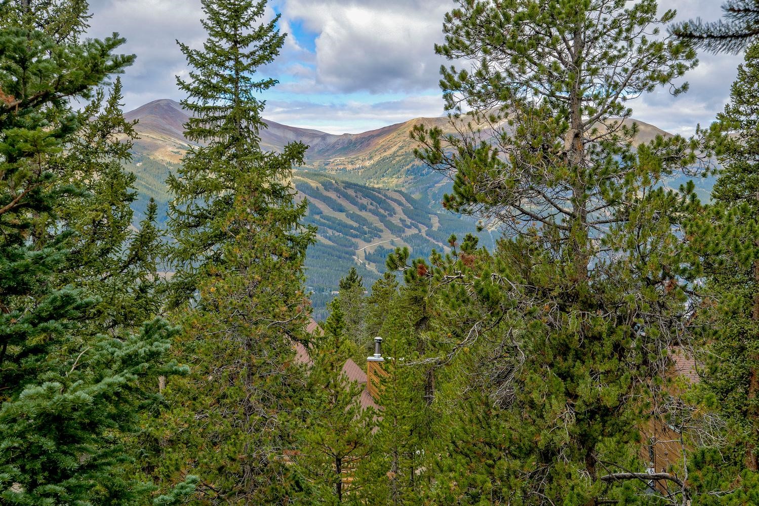151 Emmett Lode Road Breckenridge CO 80424